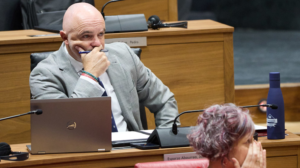 Pleno del Parlamento de Navarra. IÑIGO ALZUGARAY