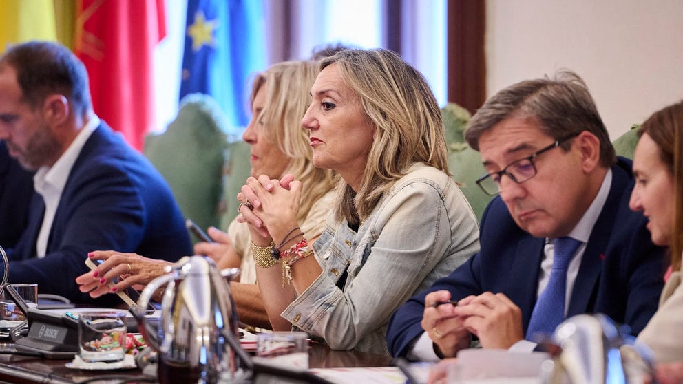 Cristina Ibarrola, de UPN, durante la celebración de un pleno del Ayuntamiento de Pamplona. PABLO LASAOSA