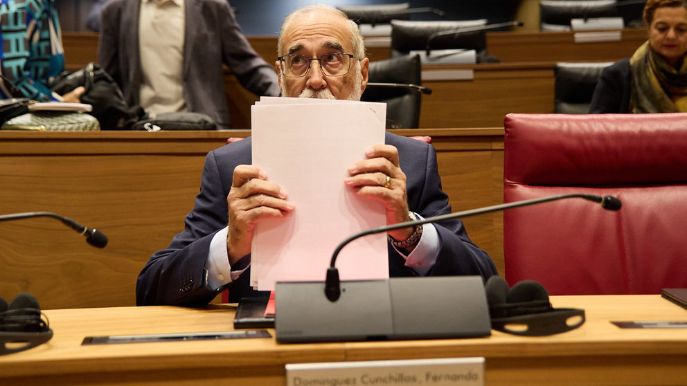 Pleno del Parlamento de Navarra. IÑIGO ALZUGARAY