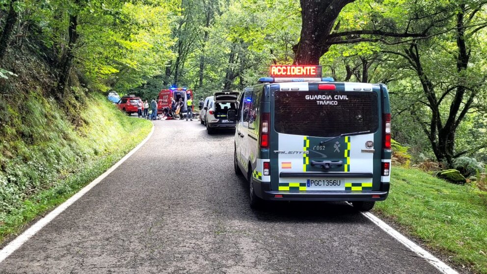 Los servicios de emergencias atienden al ciclista herido en Baztán. GUARDIA CIVIL