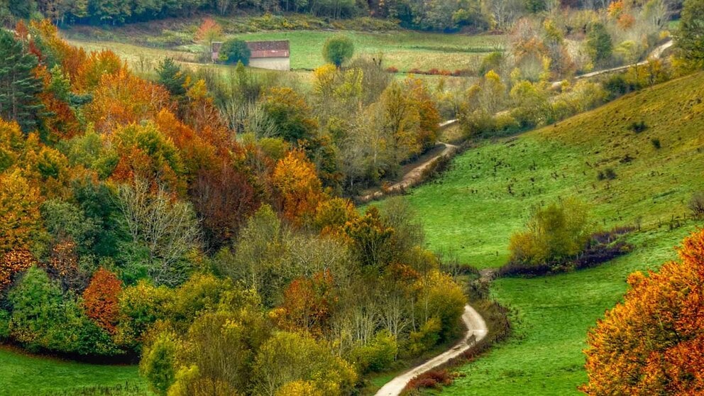 Vista de una zona en la Selva de Irati en Navarra. Beatriz Lagos