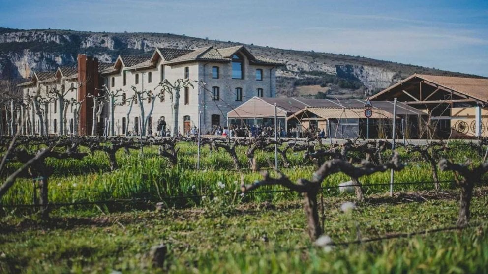 Una vista general de las bodegas Otazu.