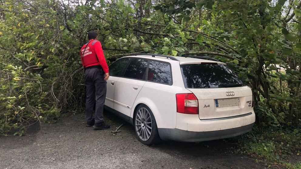 Un agente atiende una de las incidencias del temporal. POLICÍA FORAL