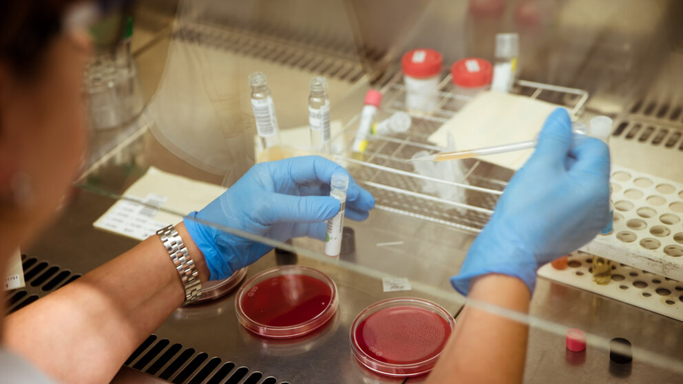 Una investigadora en un laboratorio. Fundación la Caixa