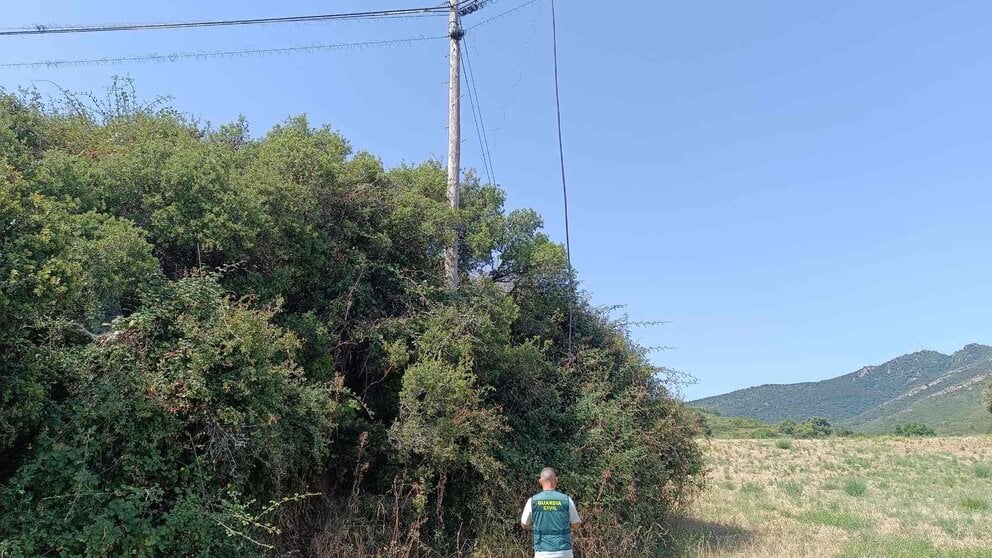 Un agente de la Guardia Civil inspecciona el poste de teléfono desde el que comenzaron el robo de cable. GUARDIA CIVIL DE NAVARRA