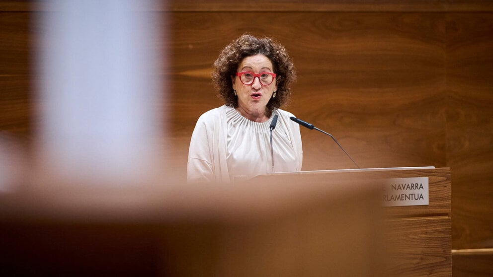 La consejera de Derechos Sociales Mari Carmen Maeztu interviene en el pleno del Parlamento. PABLO LASAOSA