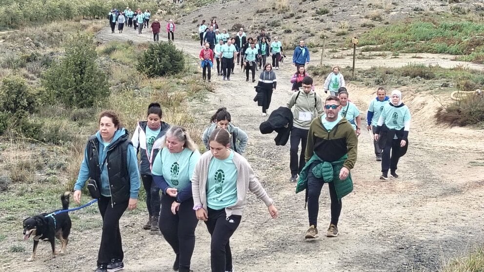 Fitero camina contra el Cáncer. CEDIDA