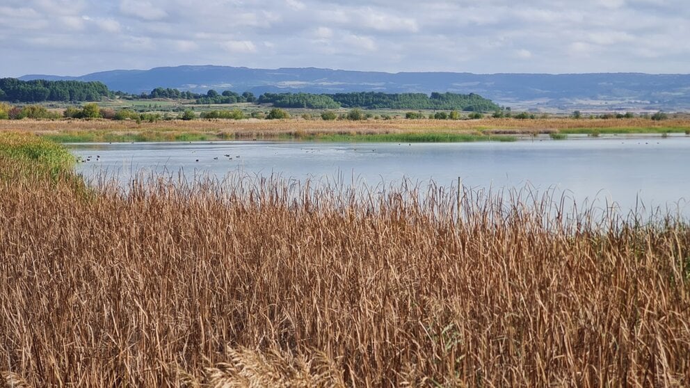 La Laguna Dos Reinos firma por un turismo más sostenible. CEDIDA