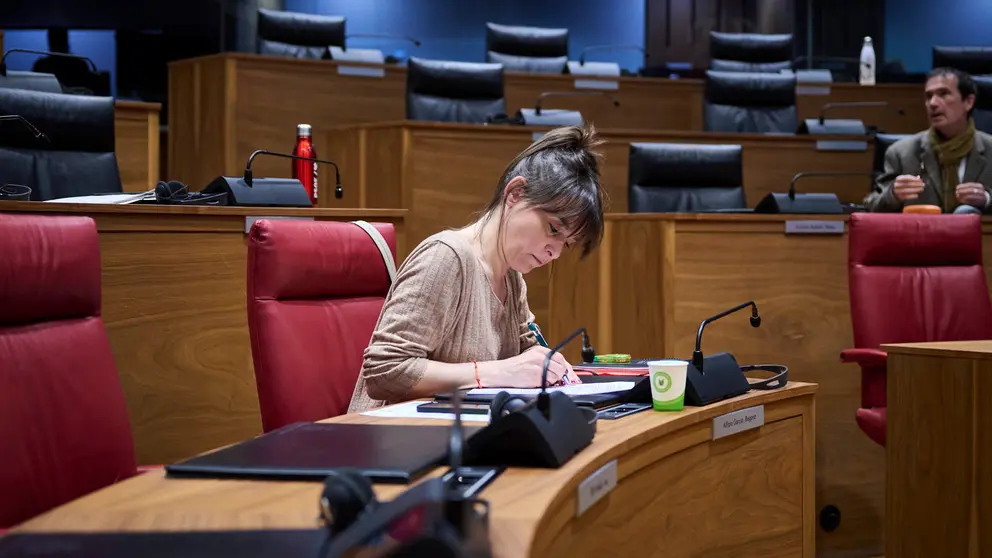La consejera de Vivienda Begoña Alfaro minutos antes de comenzar el pleno del Parlamento. PABLO LASAOSA