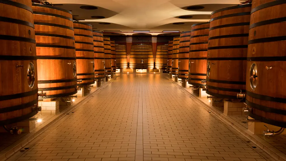 Imagen de las bodegas Marco Real en Olite. BODEGAS MARCO REAL