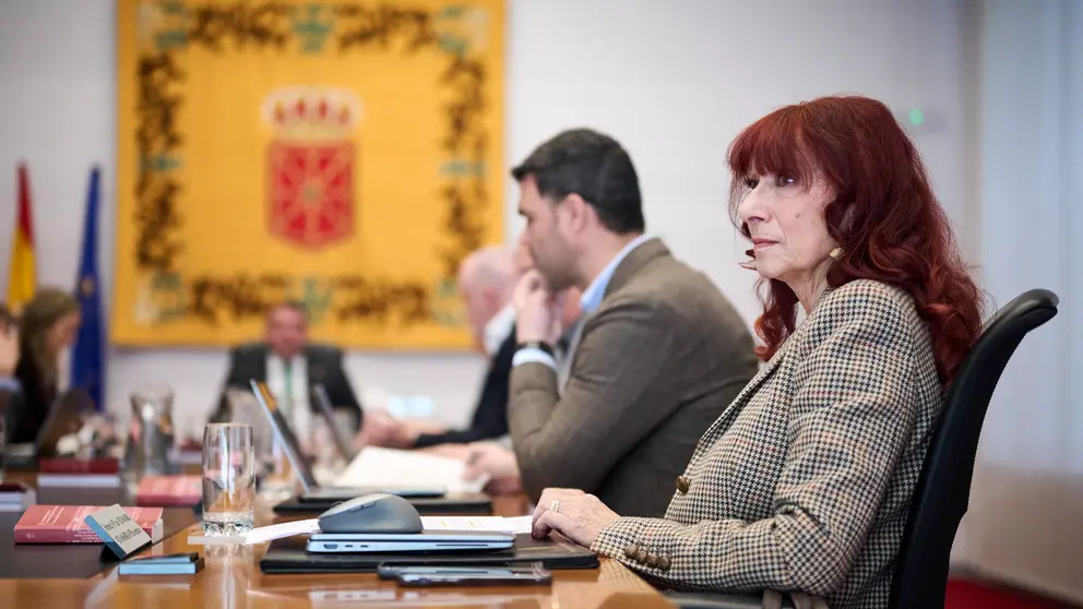 Maite Nosti de VOX durante la Mesa y Junta de Portavoces del Parlamento. PABLO LASAOSA