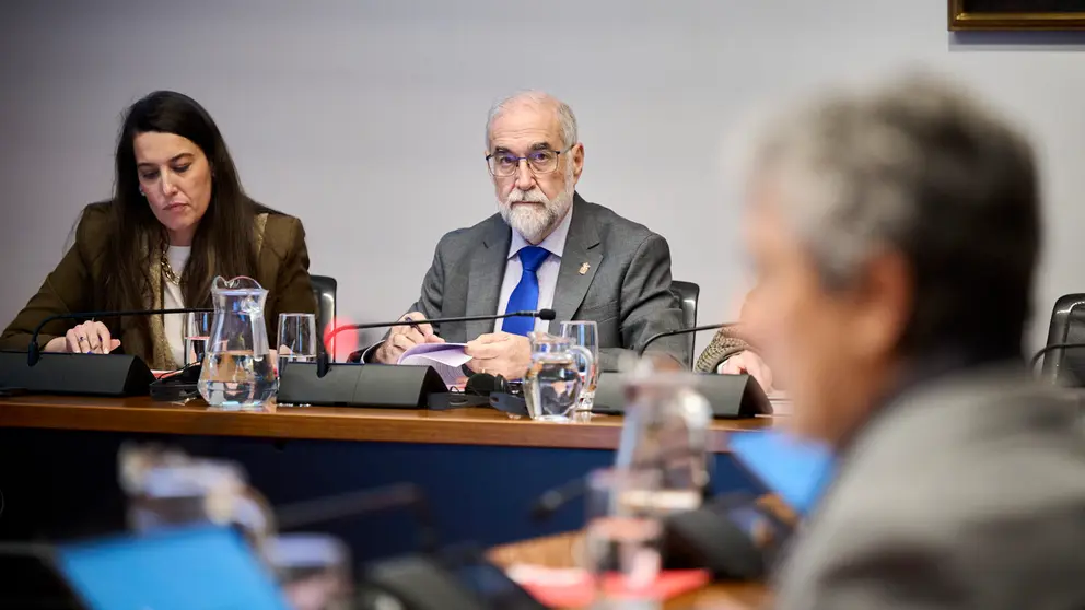 Comisión de Salud del Parlamento de Navarra. Comparecencia para que el consejero Fernando Domínguez explique la negativa a realizar un estudio de coste efectividad para la implantación de una Unidad de Hemodiálisis en el Hospital de Estella. PABLO LASAOSA