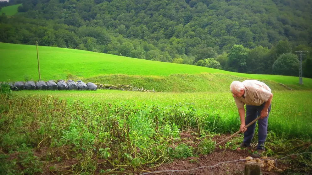 Algunos de los estableicmientos mantienen sus huertas nutridas con compost para ser completamente circulares. CEDIDA