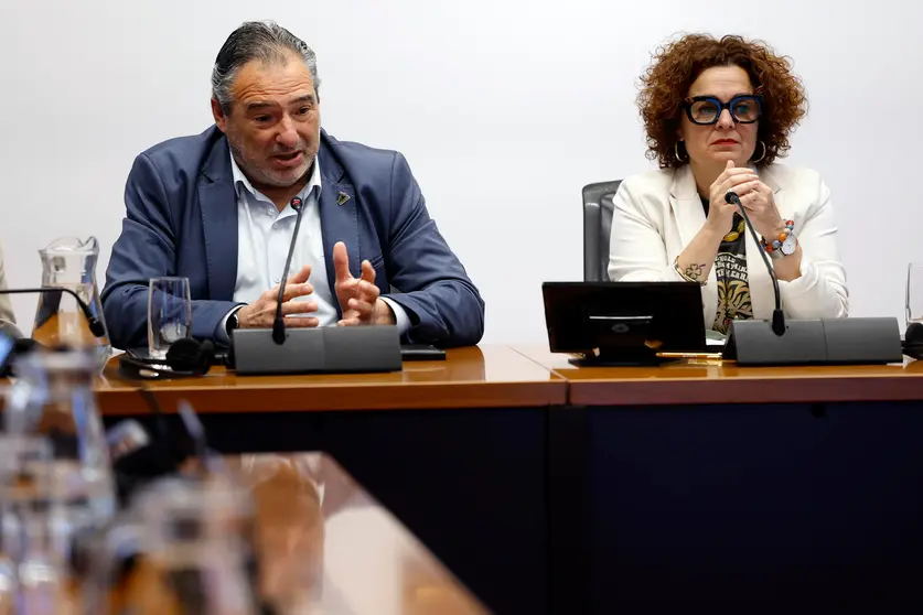 El presidente de la Comunidad de Bardenas Reales, José María Agramonte, durante su comparecencia en el Parlamento de Navarra. EFE / Jesús Diges