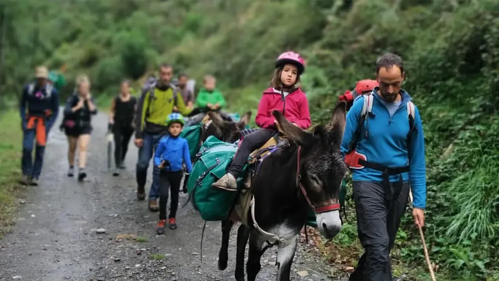 Imagen de un paseo con los burros de Astotreck. ASTROTRECK