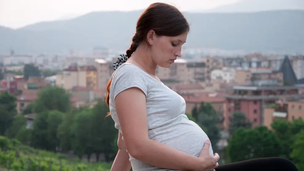 Una mujer joven embarazada. Shutterstock - Vorotylin Roman