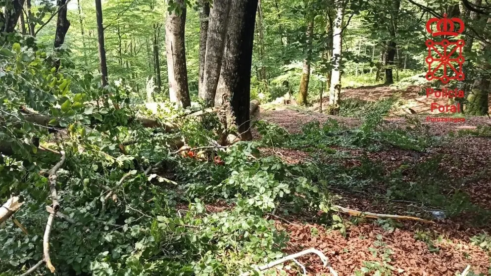 Accidente laboral mortal en Navarra. POLICÍA FORAL