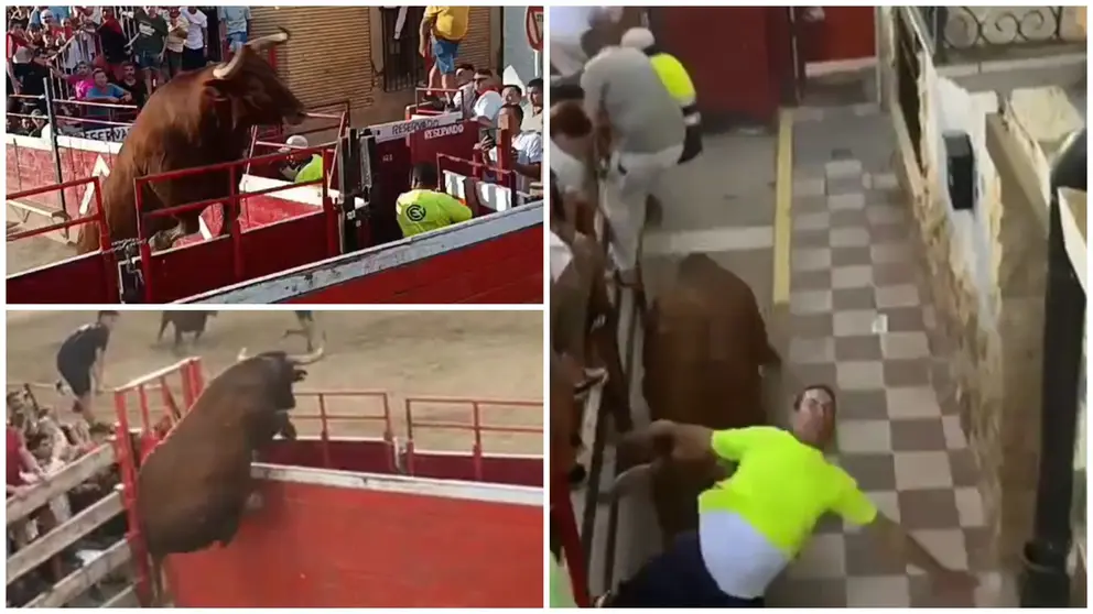 Tres momentos de la cogida que sufrió el trabajador de la brigada municipal de Cadreita.