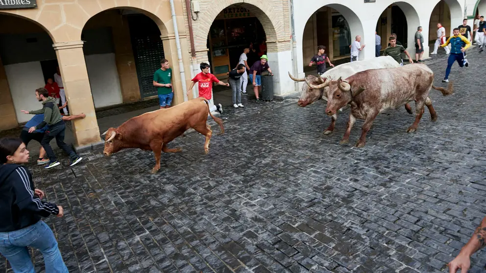 Encierrillo de novillos en fiestas de Estella del 6 de agosto de 2025. IRANZU LARRASOA&Ntilde;A
