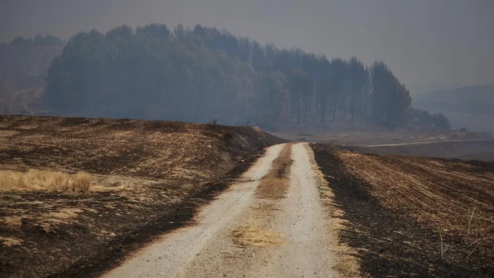Imagen del incendio declarado el pasado martes entre Obanos, Muruzábal y Enériz.
EDUARDO SANZ / EUROPA PRESS / ARCHIVO