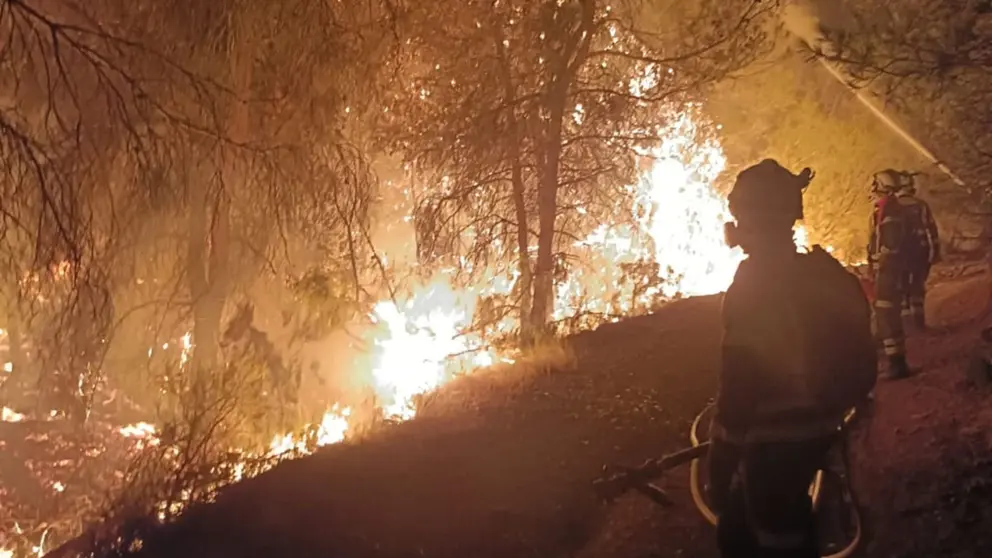 Efectivos trabajando en el incendio de Carcastillo. BOMBEROS DE NAVARRA