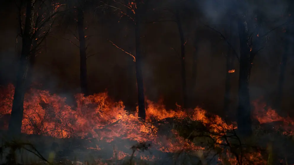Efectivos de Bomberos, Policía Foral, Guardia Civil, aviones y helicópteros trabajan para sofocar el incendio forestal declarado en Carcastillo. PABLO LASAOSA