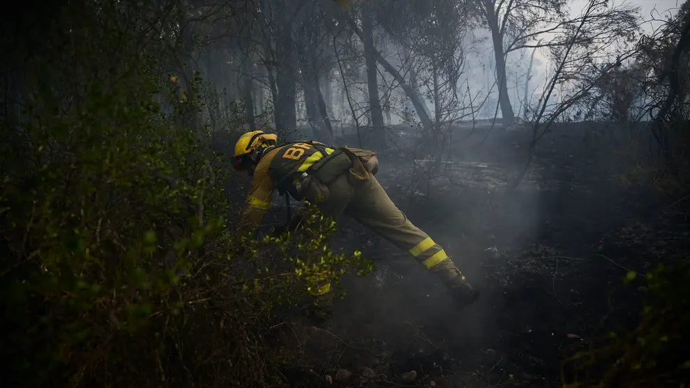 Efectivos de Bomberos, Policía Foral, Guardia Civil, aviones y helicópteros trabajan para sofocar el incendio forestal declarado en Carcastillo. PABLO LASAOSA