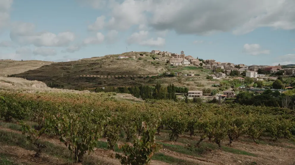 San Martín de Unx, rodeado de viñedos, es una de las paradas de Navargira. CEDIDA