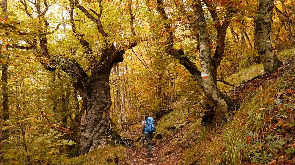Un senderita realizando la ruta de Gartxot. TURISMO DE NAVARRA