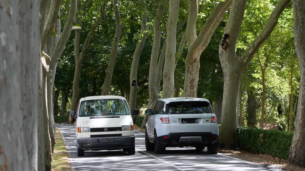 Carretera de la Universidad de Navarra en Pamplona. IÑIGO ALZUGARAY