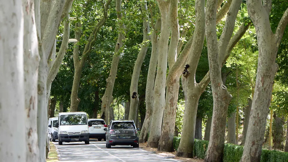 Carretera de la Universidad de Navarra en Pamplona. IÑIGO ALZUGARAY