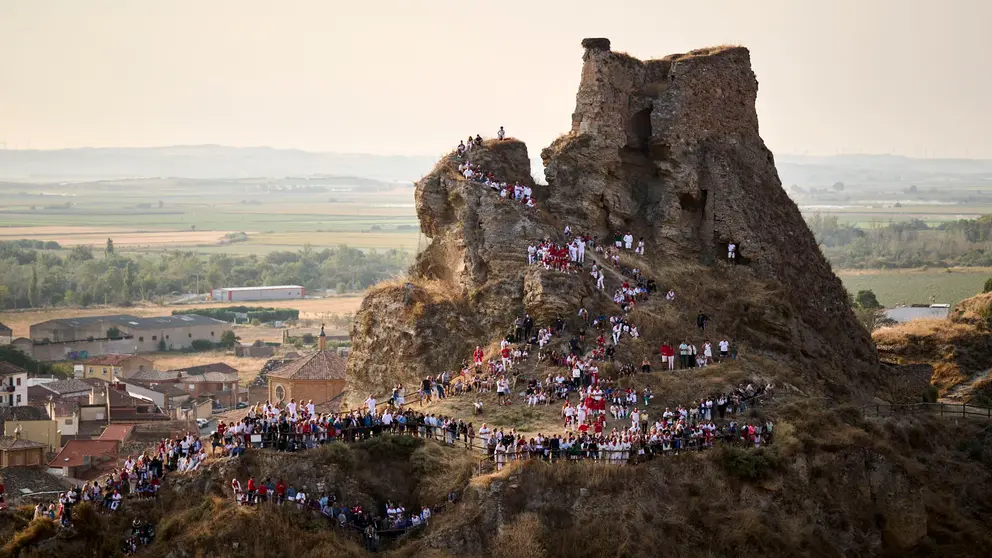 Octavo y &uacute;ltimo encierro del Pil&oacute;n en las fiestas de Falces de 2025 con vacas de la ganader&iacute;a de Teodoro Vergara de Falces. PABLO LASAOSA