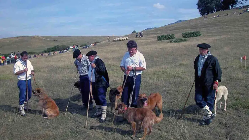 Un momento del concurso Artzai Eguna de una edición anterior. TURISMO NAVARRA
