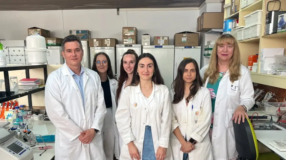 Expertos de Ibima Málaga descubren que proteínas humanas causa del alzheimer provocan daños más severos que las de ratón.
- IBIMA