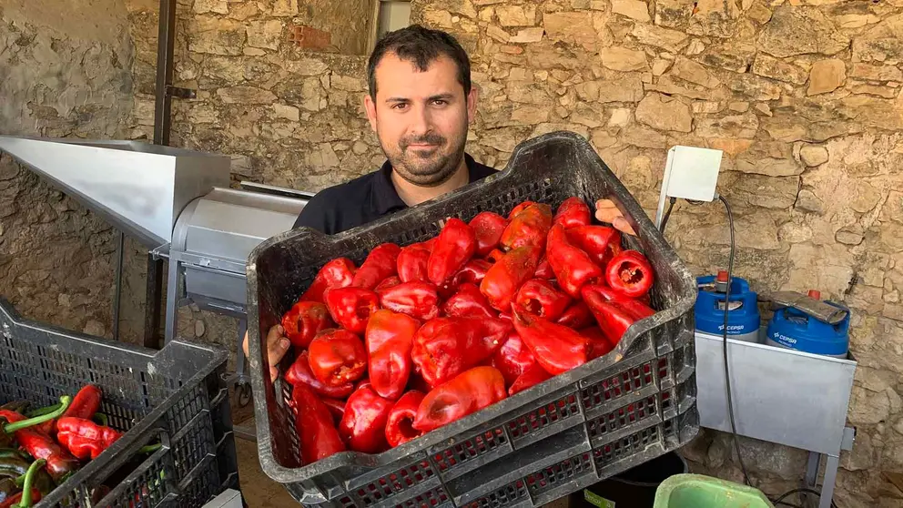 Javier Pérez de Zabalza sostiene una caja de pimientos frescos en Legaria. Navarra.com