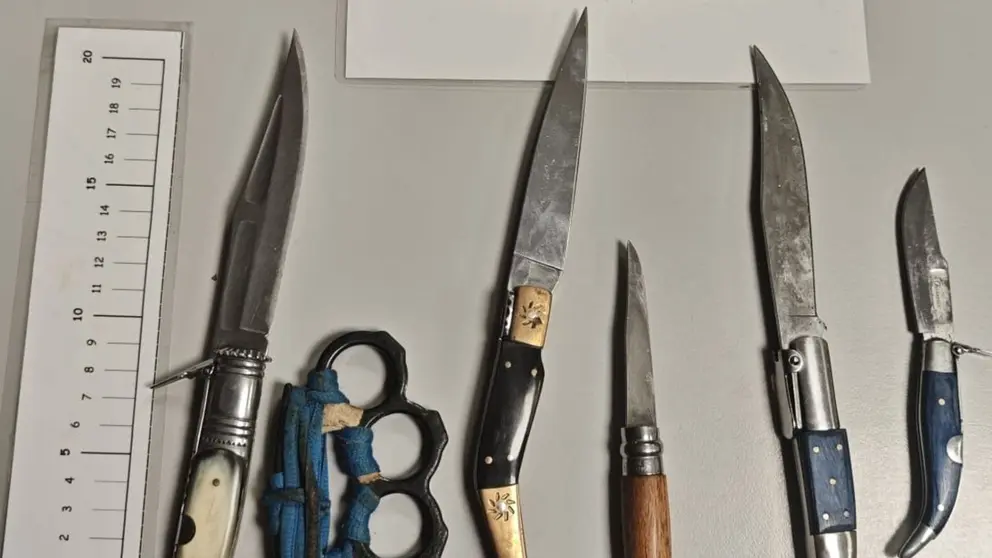 Armas decomisadas. POLICÍA FORAL