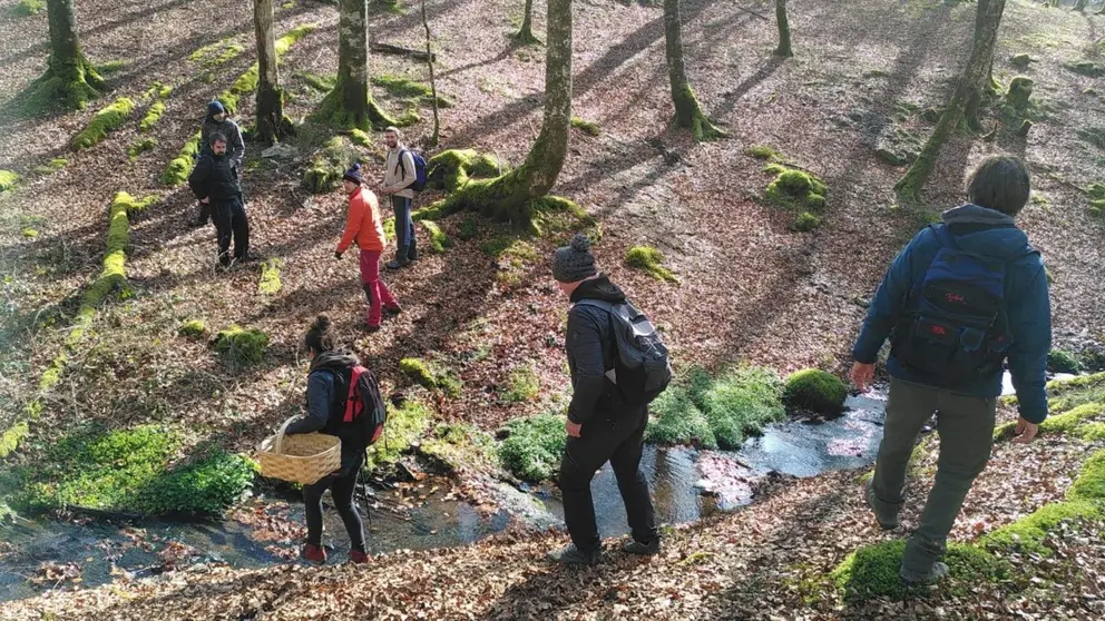 Varias personas recogen hongos en el Parque Micológico Ulzama. TURISMO DE NAVARRA