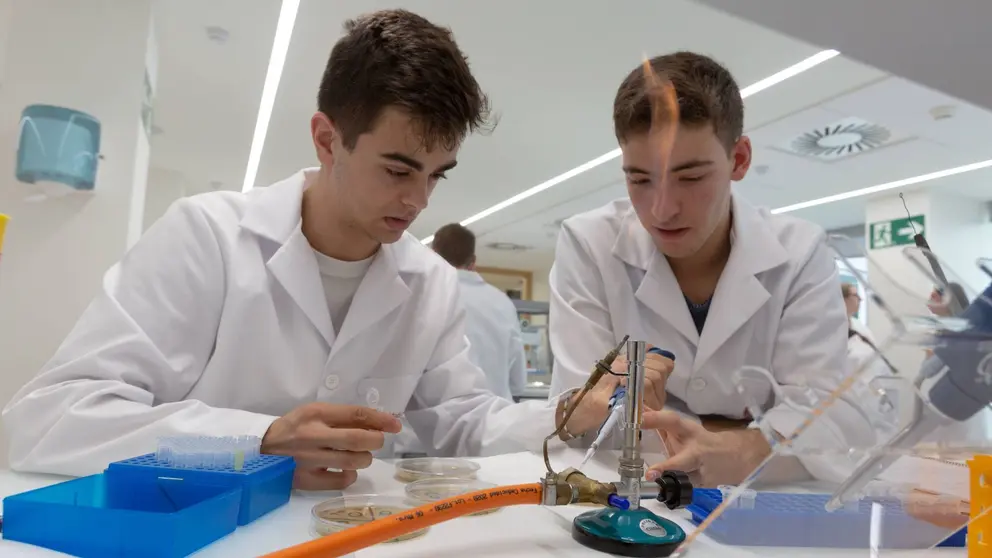 La Universidad de Navarra se sitúa en el rango de las 251-300 mejores universidades del mundo y destaca en calidad de la investigación, colaboración con la industria y orientación internacional. UNIVERSIDAD DE NAVARRA
