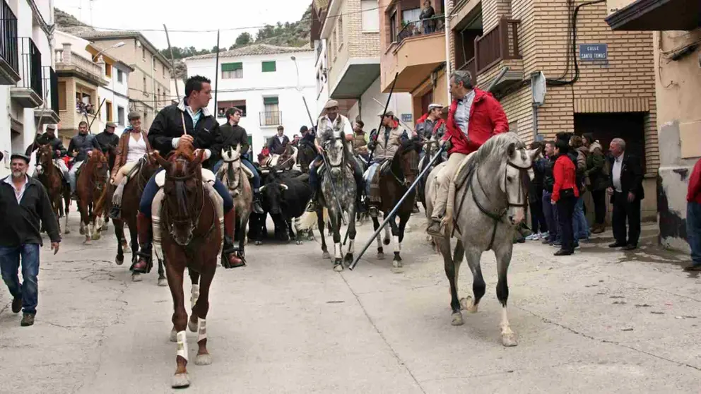 Día de la Trashumancia de Arguedas. TURISMO DE NAVARRA