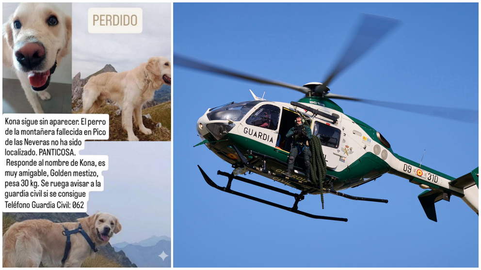 Muere una joven navarra de 27 años mientras hacía senderismo: hallada junto a uno de sus perros. CEDIDA