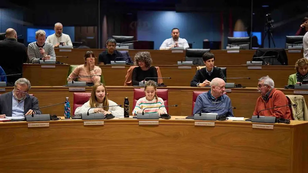 El Parlamento ha celebrado una sesión ciudadana sobre la adaptación de Navarra al cambio climático. PARLAMENTO DE NAVARRA
