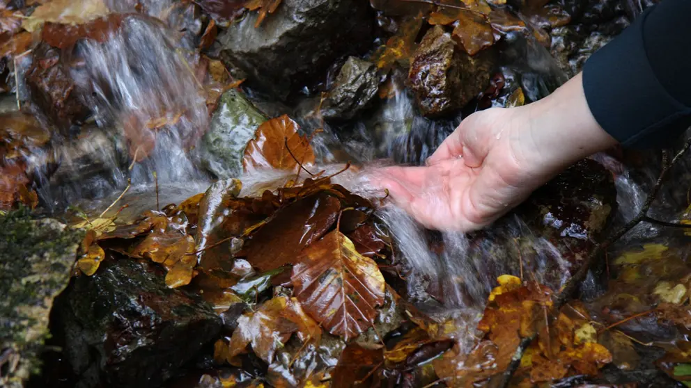 Un manantial navarro en otoño. CEDIDA