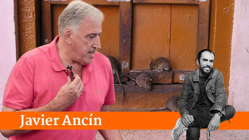 Fotomontaje de Asirón sobre la imagen de varias ratas en una puerta de una vivienda. ARCHIVO