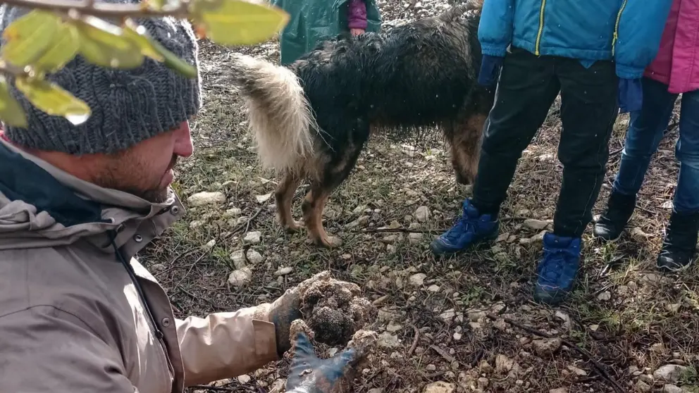Museo Trufa Metauten. TrufaExperiencia / Turismo Navarra