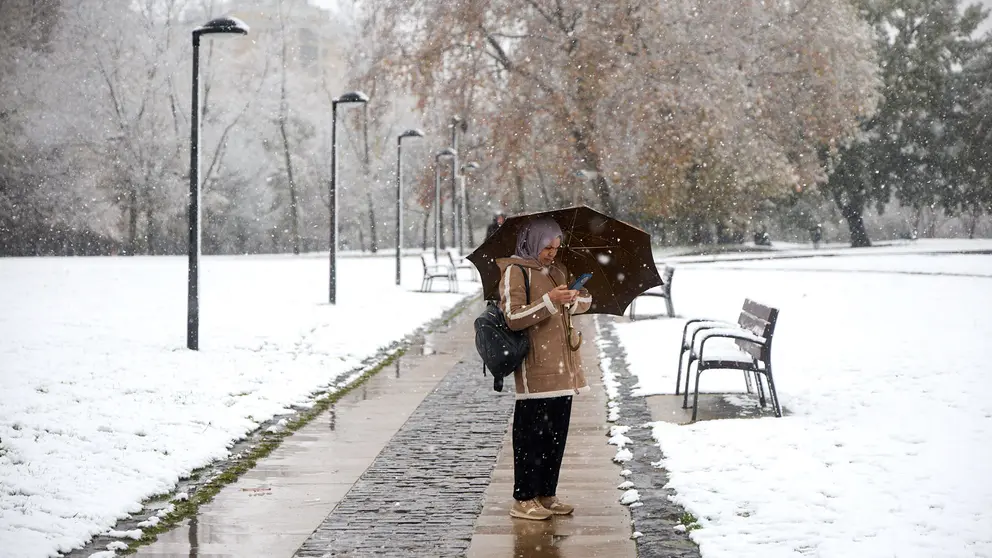 Nieve en Pamplona. I&Ntilde;IGO ALZUGARAY