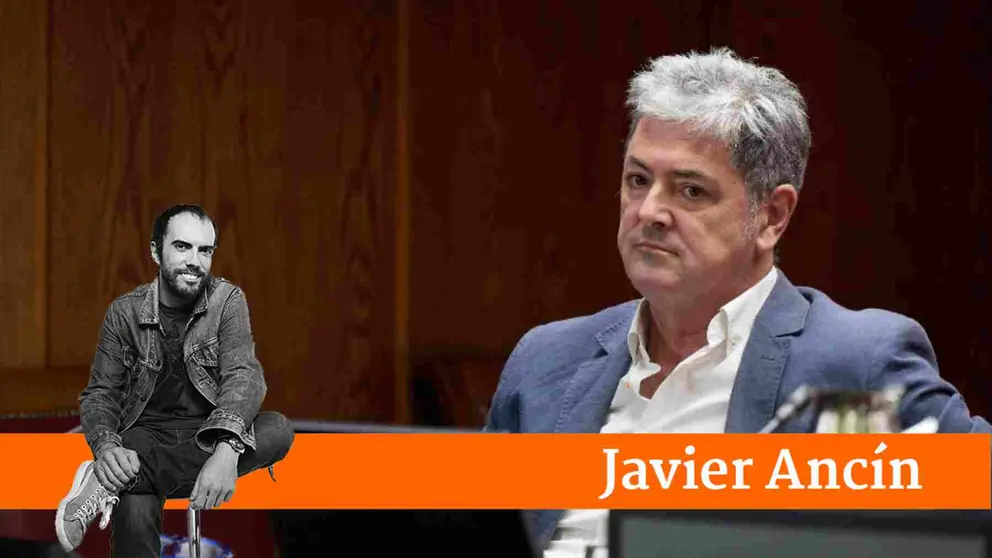 Antxón Alonso, durante su comparecencia en el Senado. EP