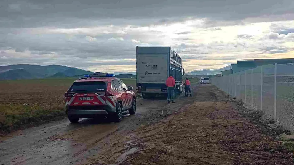 La Policía Foral investiga el atropello a Hadj Latroche en un camino rural de Abárzuza. POLICÍA FORAL