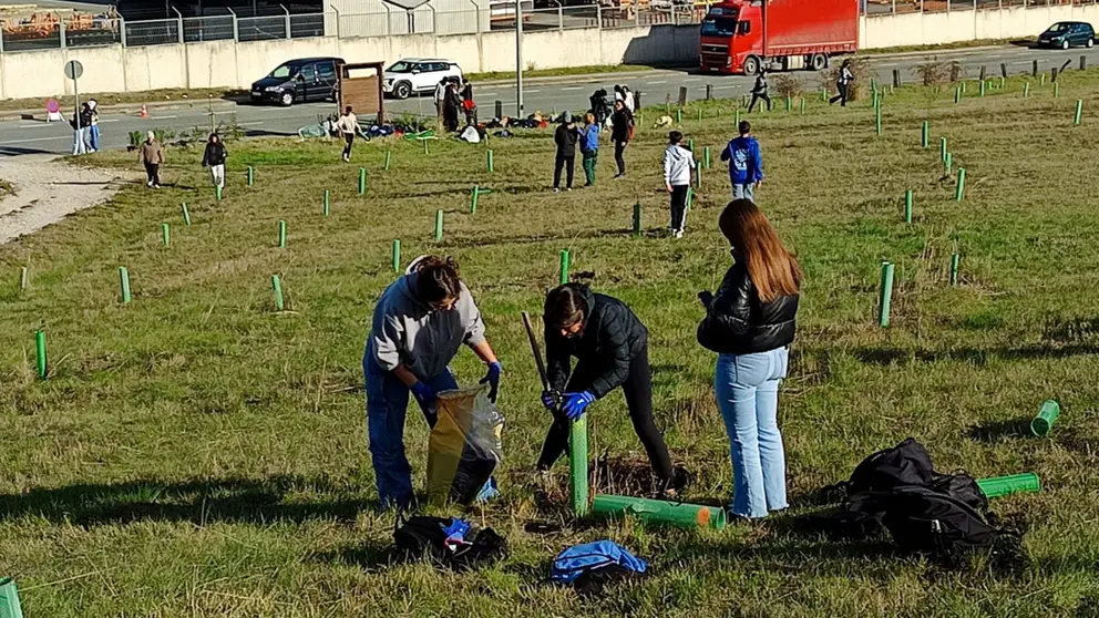 Casi un centenar de adolescentes del IES Plaza de la Cruz plantan árboles en el bosque de absorción del polígono de Agustinos. CEDIDA