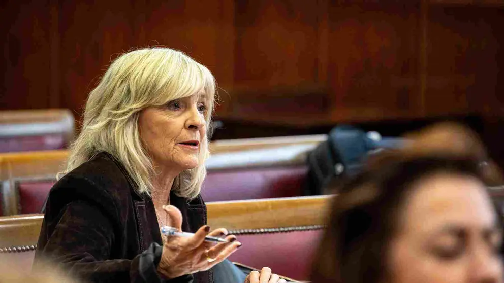 Mar&iacute;a Caballero (UPN) en la comisi&oacute;n de investigaci&oacute;n del caso Koldo en el Senado. EUROPA PRESS