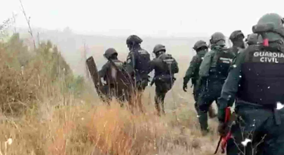 Dispositivo de la Guardia Civil que desmantel&oacute; la plantaci&oacute;n de marihuana en Sang&uuml;esa. GUARDIA CIVIL
